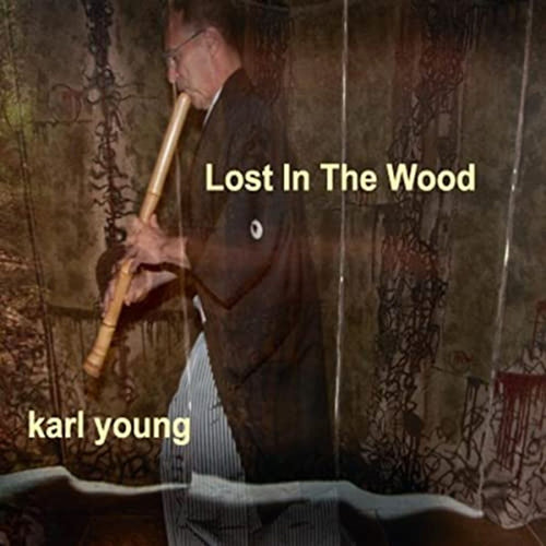 Lost in the Wood Digital Album