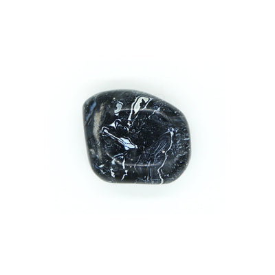 fossilized black palm stone